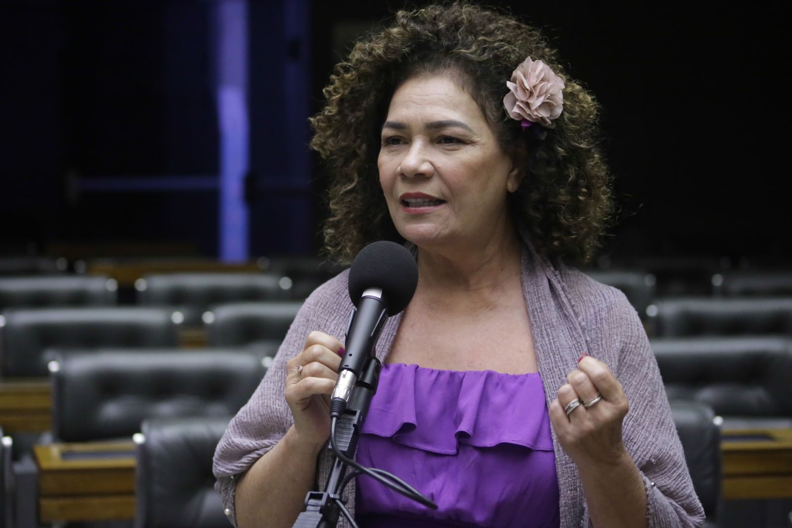 Câmara aprova projeto de Perpétua que cria o Dia de Luta pelo Parto Humanizado